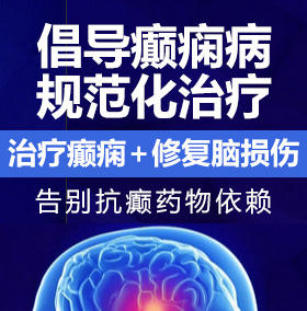 干S日本b癫痫病能治愈吗